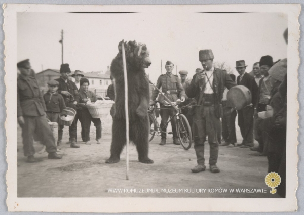 Okolice Bukaresztu - niedźwiednik